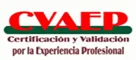 cvaep-min.png